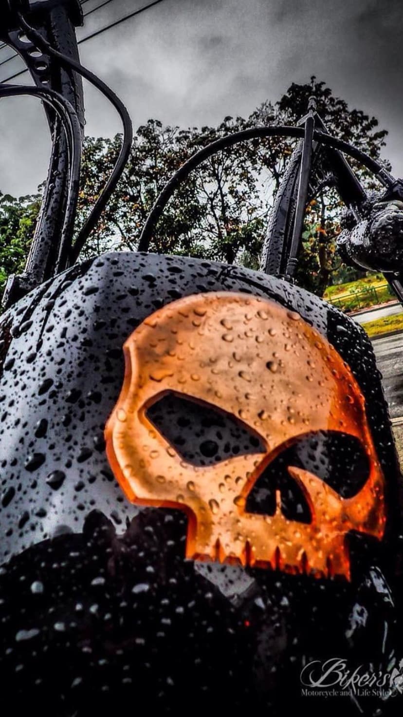 Orange skull decal on a wet motorcycle fender covered in water droplets against a dark and moody sky backdrop.