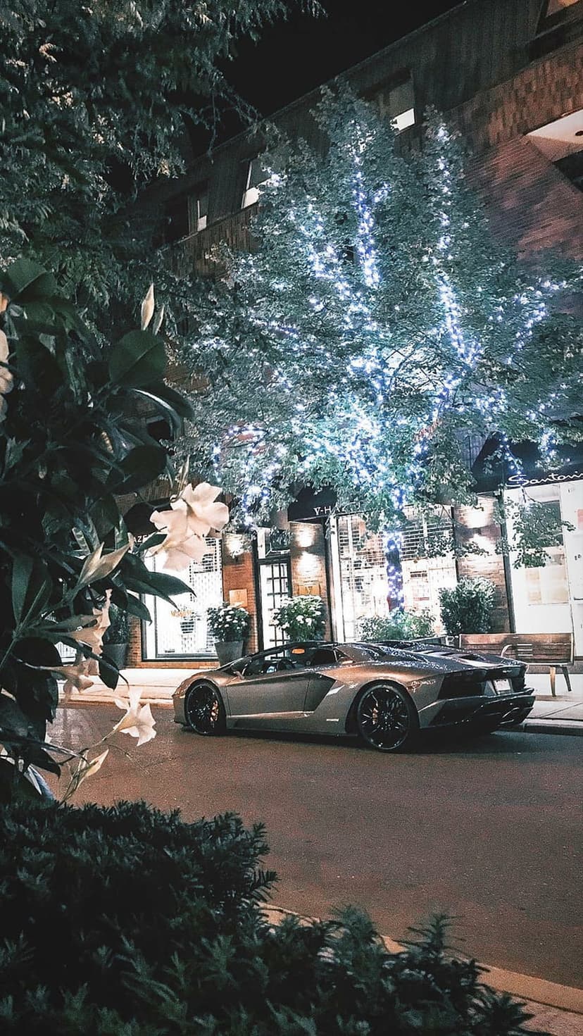 Silver sports car parked on a night street beneath a tree glowing with white fairy lights and green foliage.