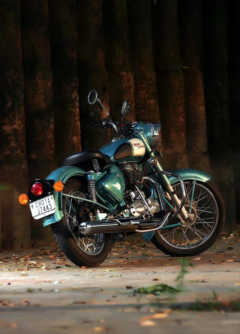 Teal Royal Enfield motorcycle with chrome engine on a forest floor covered in brown autumn leaves and twigs.