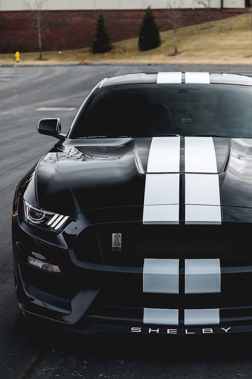 Black Ford Mustang Shelby GT350 with white racing stripes, a cobra badge, and sleek headlights outdoors.