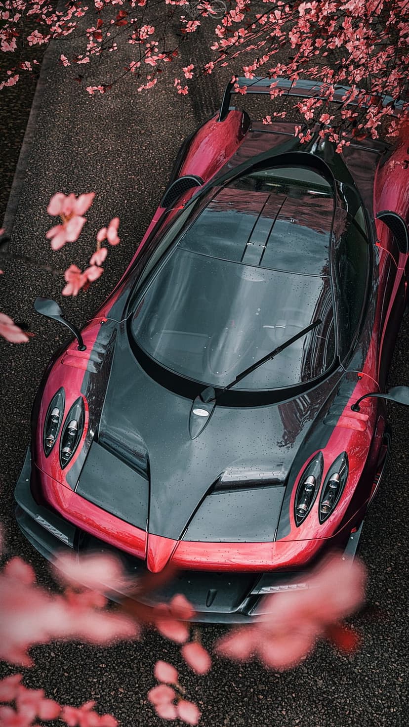Pagani Huayra Roadster BC in pink and grey viewed from above surrounded by blooming cherry blossom flowers.