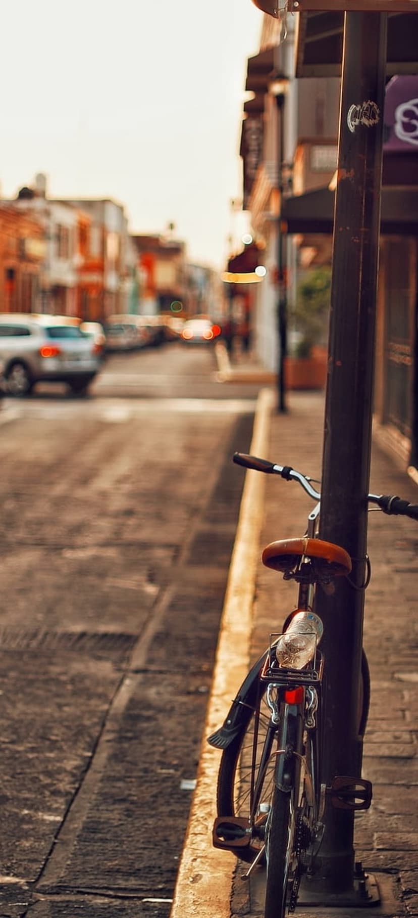 Vintage bicycle with a leather seat rests on a lamppost along a sunlit cobblestone street at golden hour.
