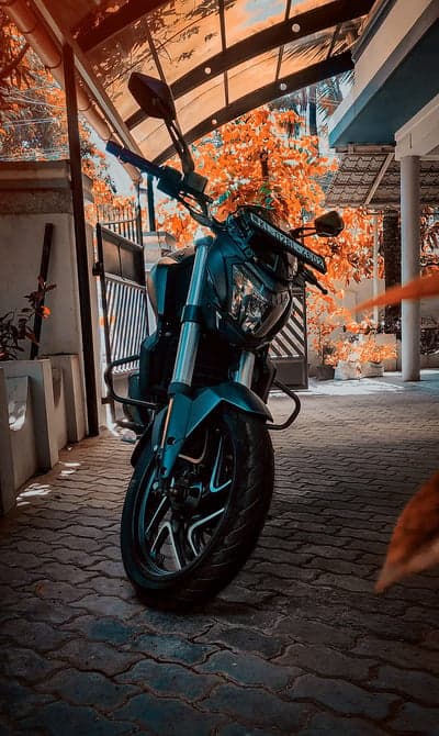 Stylish Motorcycle Parked Under Orange Autumn Trees
