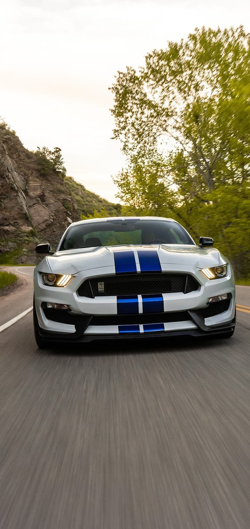 White Mustang GT with blue stripes accelerates on a scenic highway with motion blurred trees in the background.