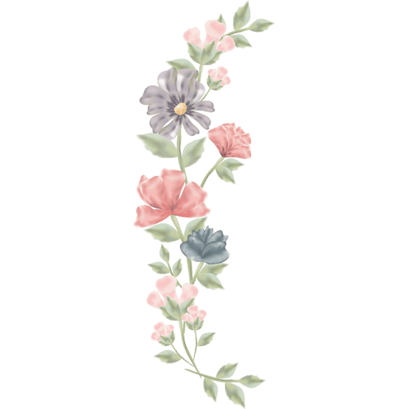 Pink and blue watercolor flowers featuring soft layered petals and organic pigment textures on transparency.