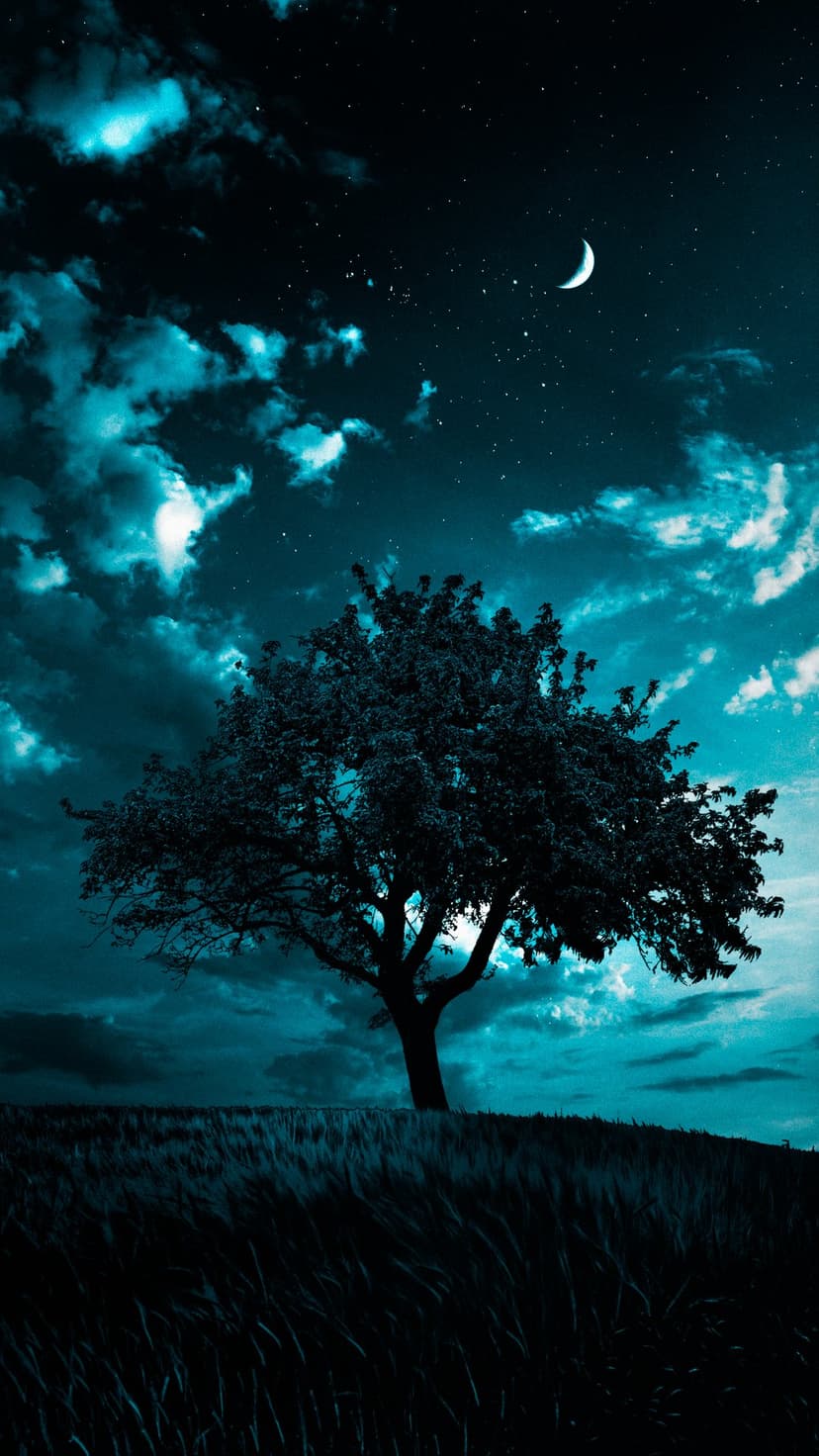 Solitary tree silhouette on a hill beneath a crescent moon and turquoise clouds in a starry night sky.