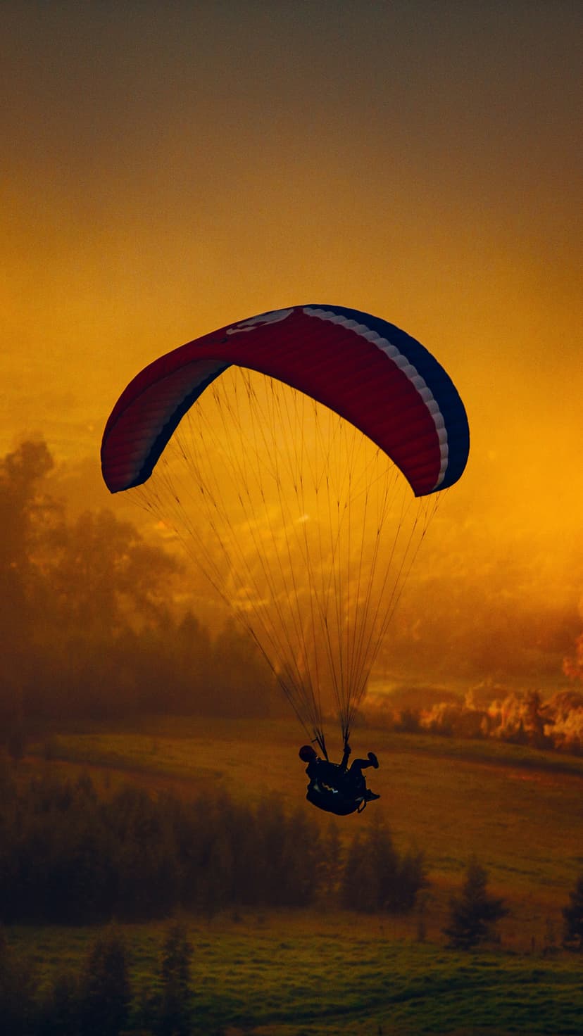 Paraglider silhouetted against a golden sunset sky above distant trees and fields in a vertical composition.