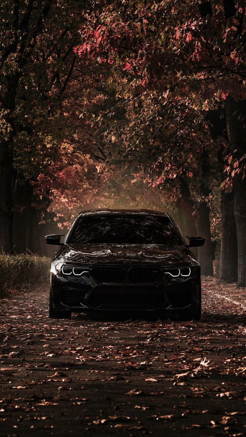 Black BMW M5 parked on a road covered in red autumn leaves with a dark forest background and aggressive grille.
