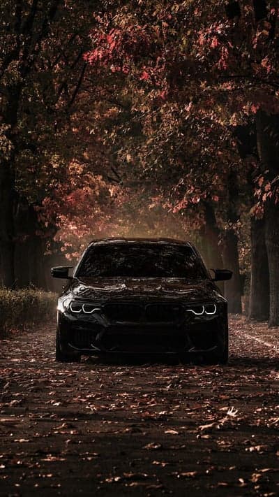 Black BMW M5 parked on a leaf-covered road in autumn