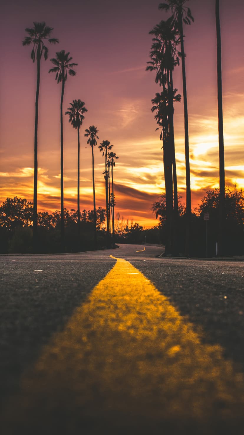 Palm tree silhouettes line an asphalt road with a yellow center line leading toward a vibrant orange sunset sky.
