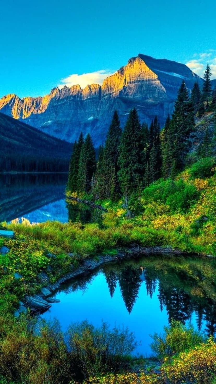 Golden mountain peaks reflect in a glass-like alpine lake surrounded by dark green pine trees under a blue sky.