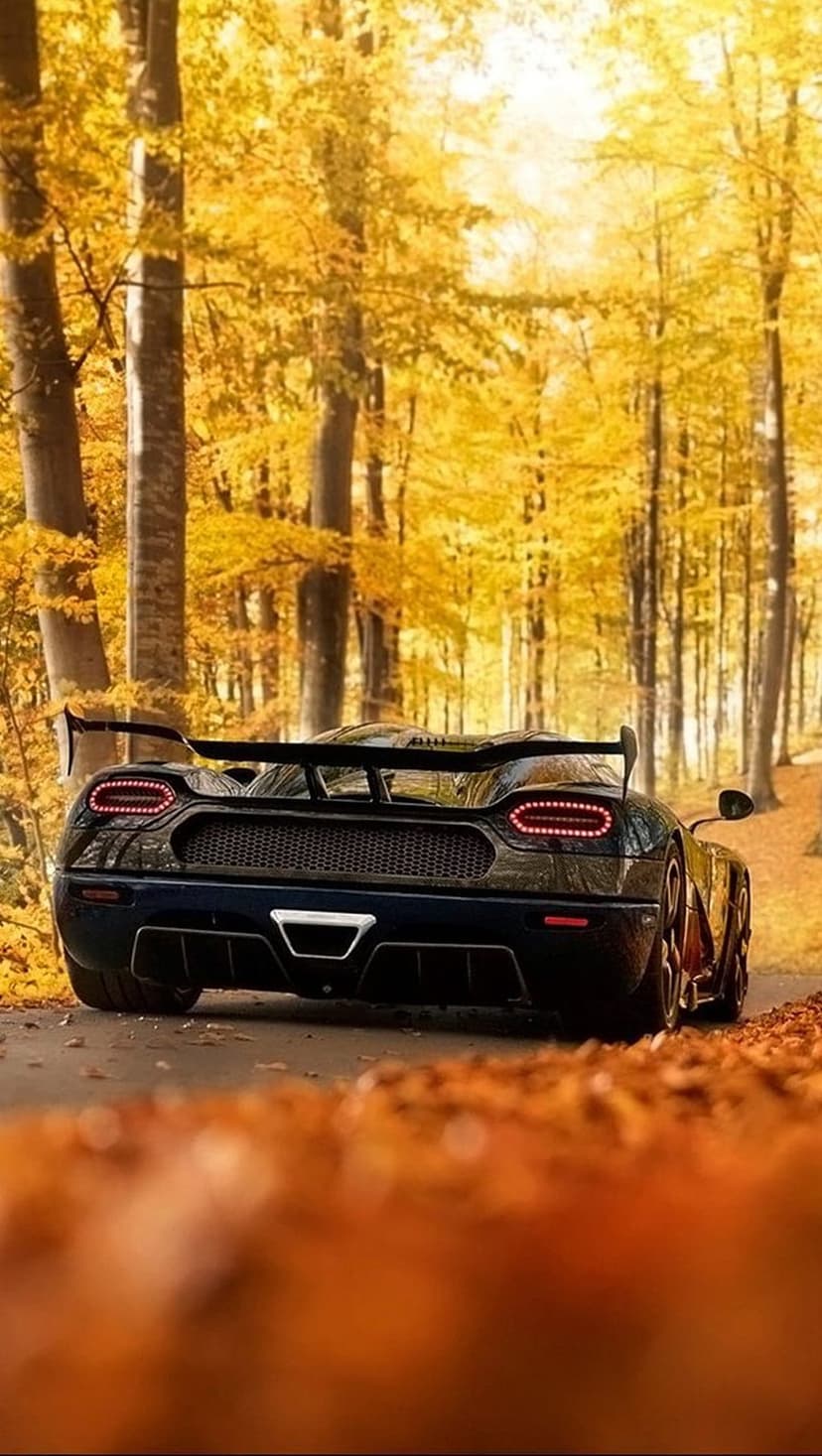 Dark luxury sports car rear view driving on a road surrounded by vibrant orange and yellow autumn tree leaves.