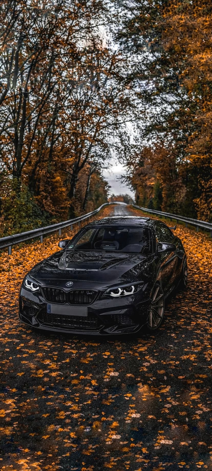 Black BMW M2 sports car parked on a forest road covered in vibrant orange and yellow fallen autumn leaves.