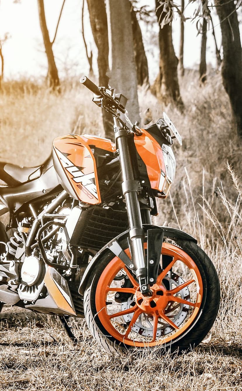 KTM Duke motorcycle parked in a sunlit forest clearing with golden light hitting the engine and front tire.