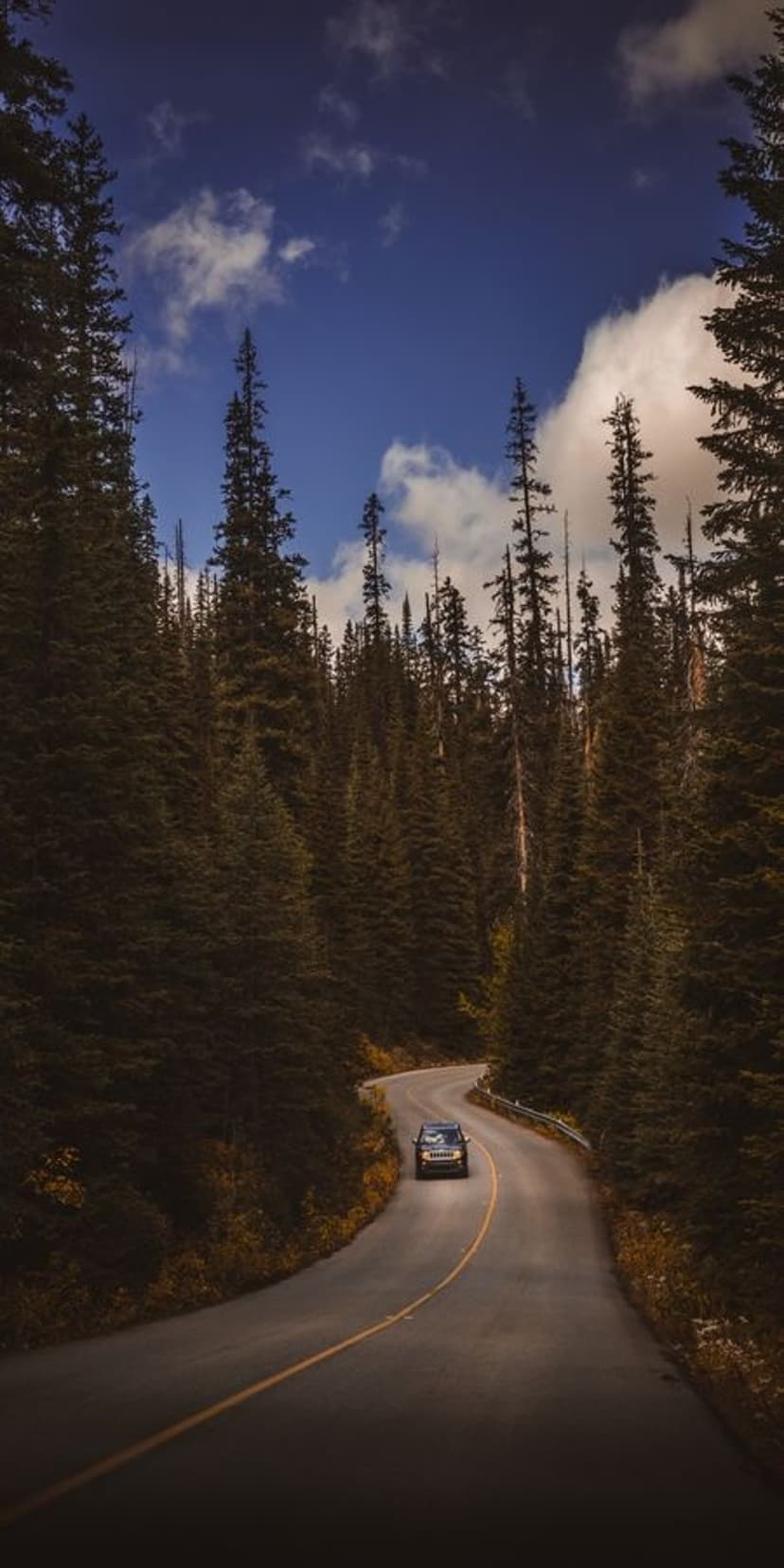 Dark SUV on a winding asphalt road bordered by tall pines beneath a blue sky with scattered white clouds.