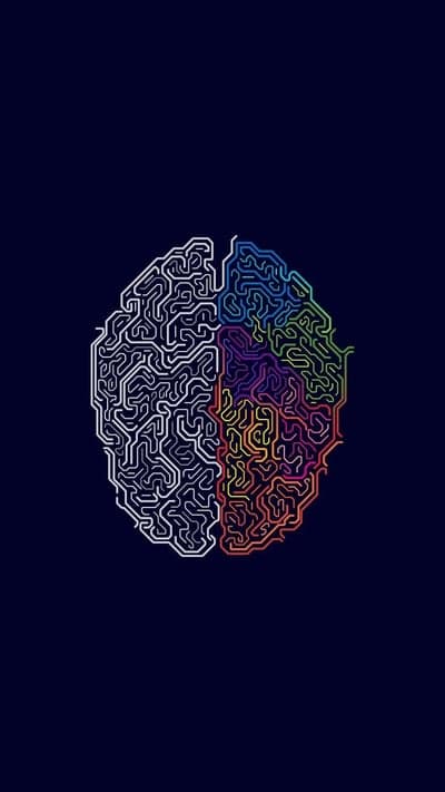 Mind's Labyrinth - A Colorful Cognitive Map