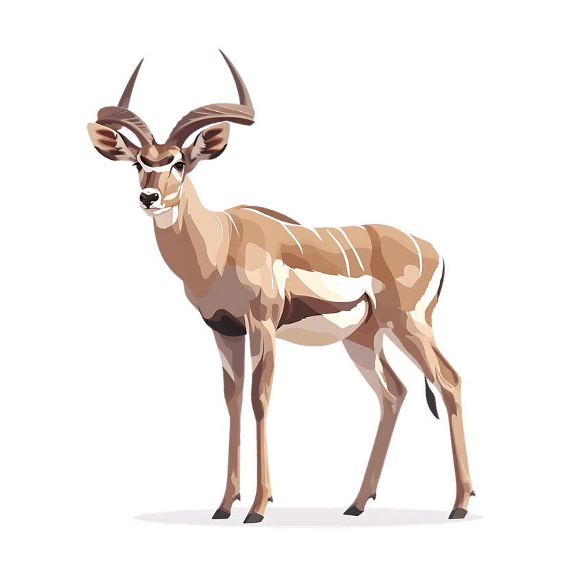 Kudu antelope illustration showing brown fur with white stripes and long spiraling horns on a black backdrop.