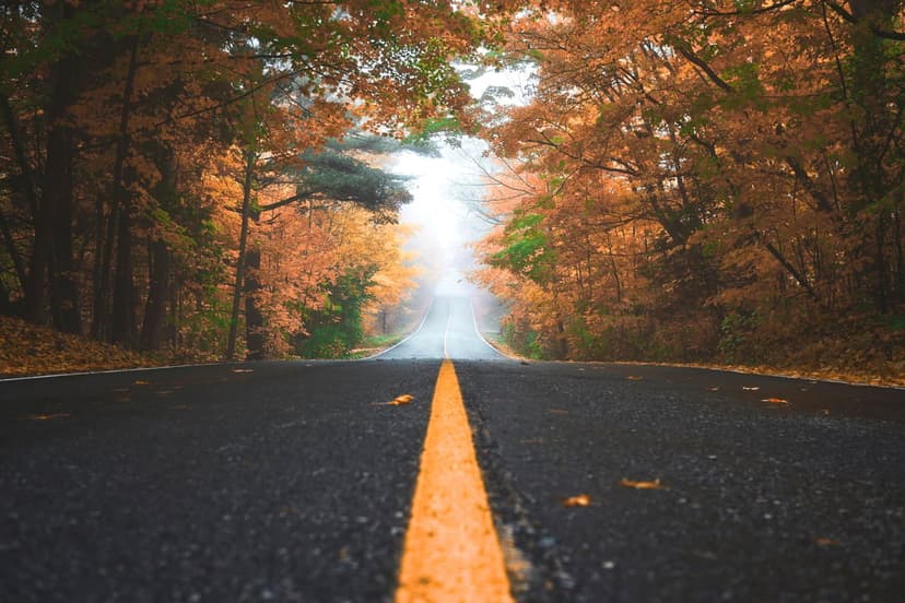 Rural asphalt road with a yellow center line surrounded by orange autumn trees leading into a thick white mist.