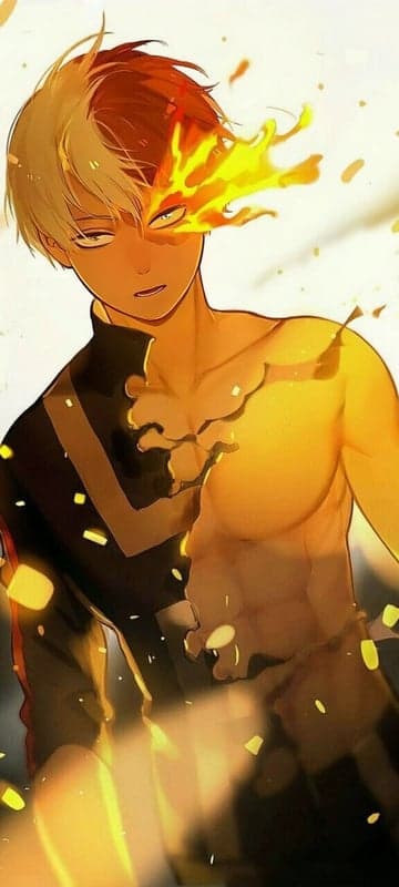 Todoroki Fire Anime Art Portrait