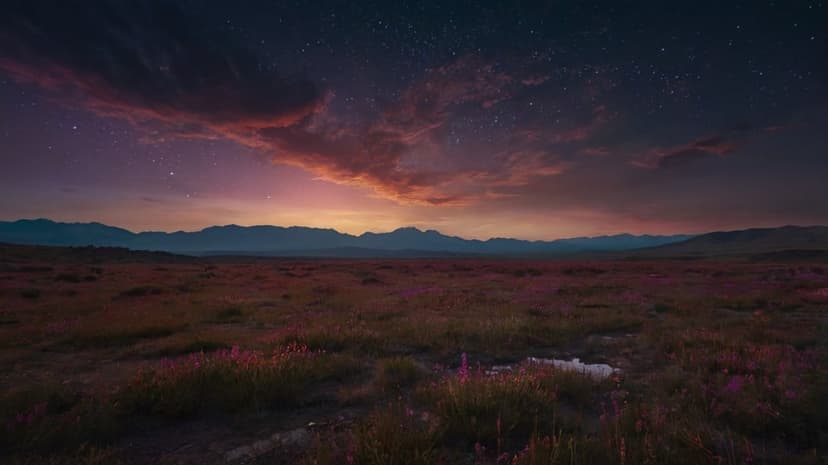 Wildflowers in a vast meadow sit below jagged mountains and a fiery sunset sky filled with orange clouds and stars.