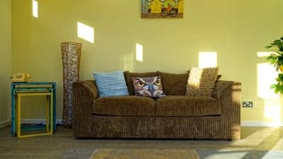 Cozy brown sofa with owl pillow and bright sunlight