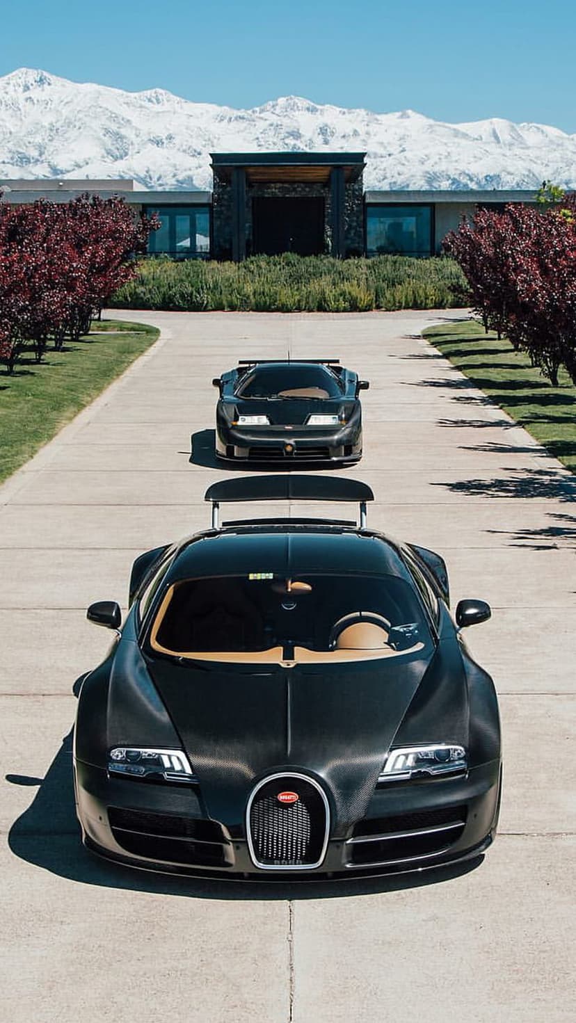 Black Bugatti Veyron and EB110 parked on a mansion driveway with snowy mountains and pine trees behind them.