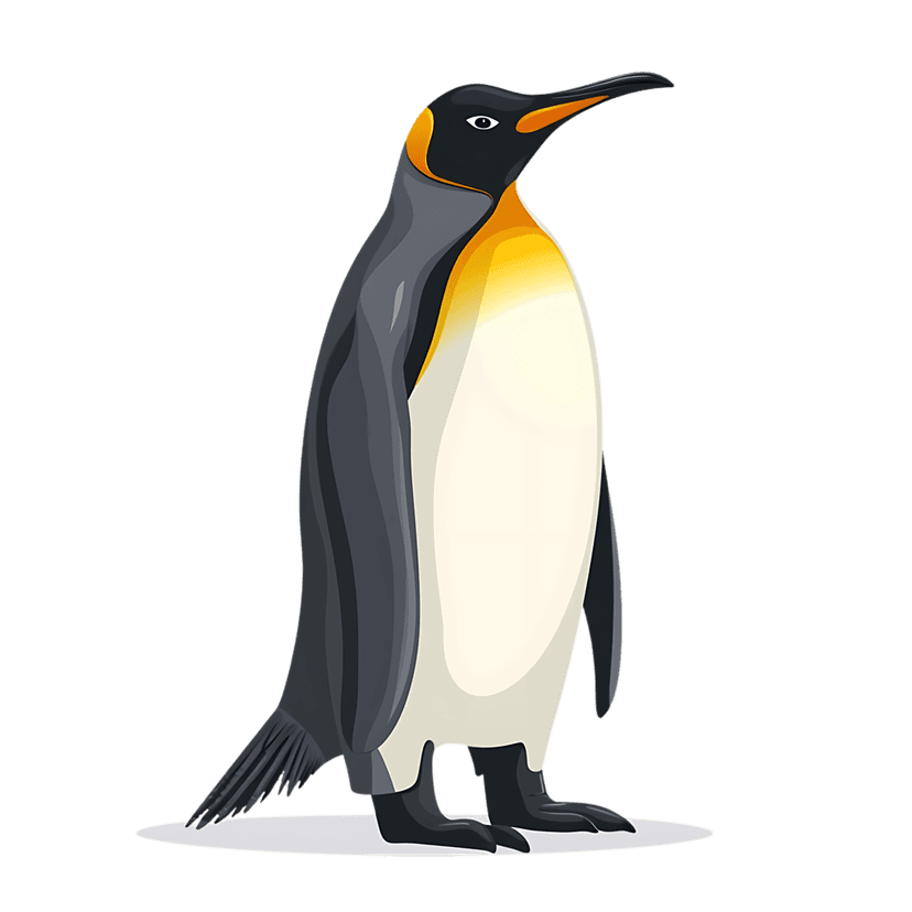 King penguin standing in right profile view with orange neck plumage, dark gray feathers, and black webbed feet.