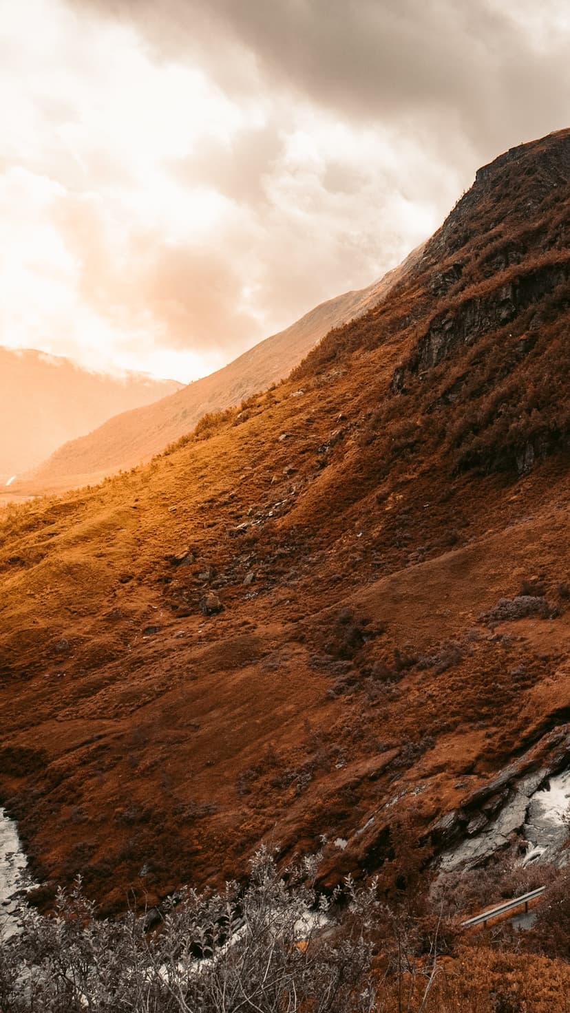 Steep mountain slope covered in orange and red fall trees beneath a dark cloudy sky during a golden hour sunset.