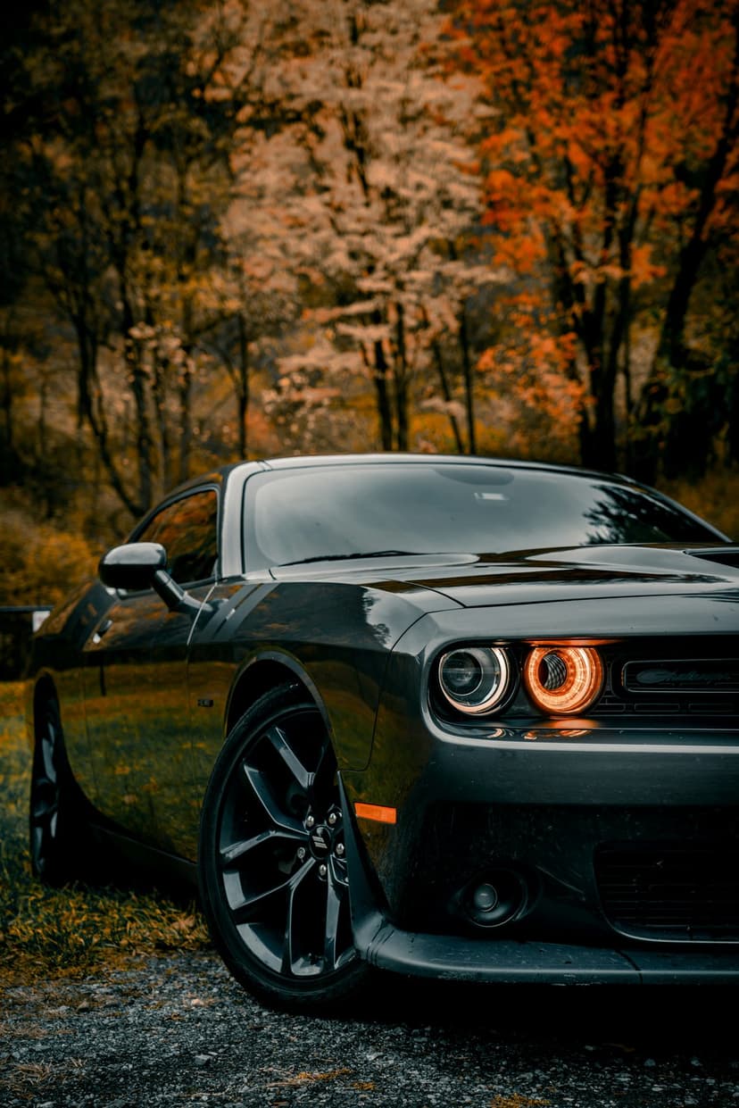 Black Dodge Challenger parked on a gravel path surrounded by orange and yellow autumn trees with headlights on.