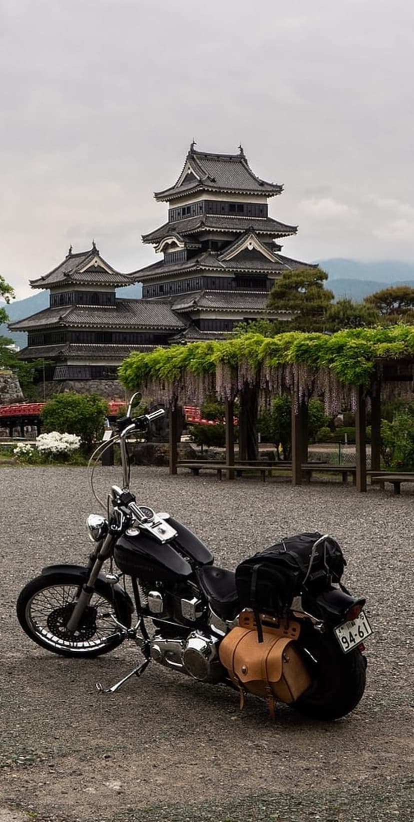 Black motorcycle parked on gravel beside a tiered Japanese castle under a canopy of purple wisteria blossoms.