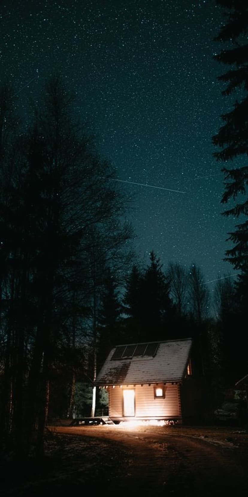 Warmly lit wooden cabin nestled in a dark pine forest under a brilliant celestial night sky filled with stars.
