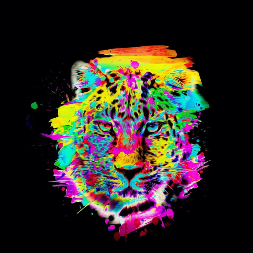 Leopard facial features illuminated by vibrant neon paint splashes in shades of pink, yellow, and blue.