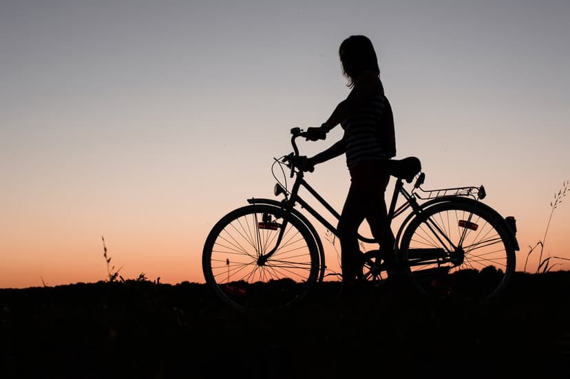 Person and bicycle silhouette stand against a gradient orange and purple sky during a calm twilight evening.