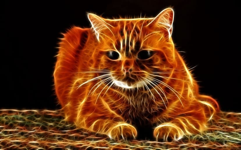 Ginger cat with luminous orange fur and electric fractal patterns set against a dark, minimalist background.