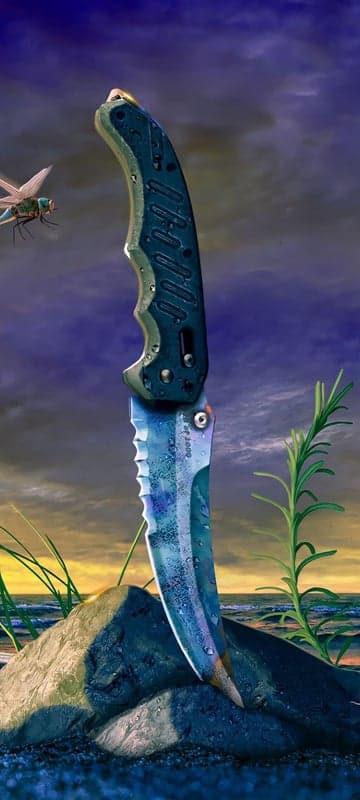 Dragonfly and Knife by the Ocean at Sunset