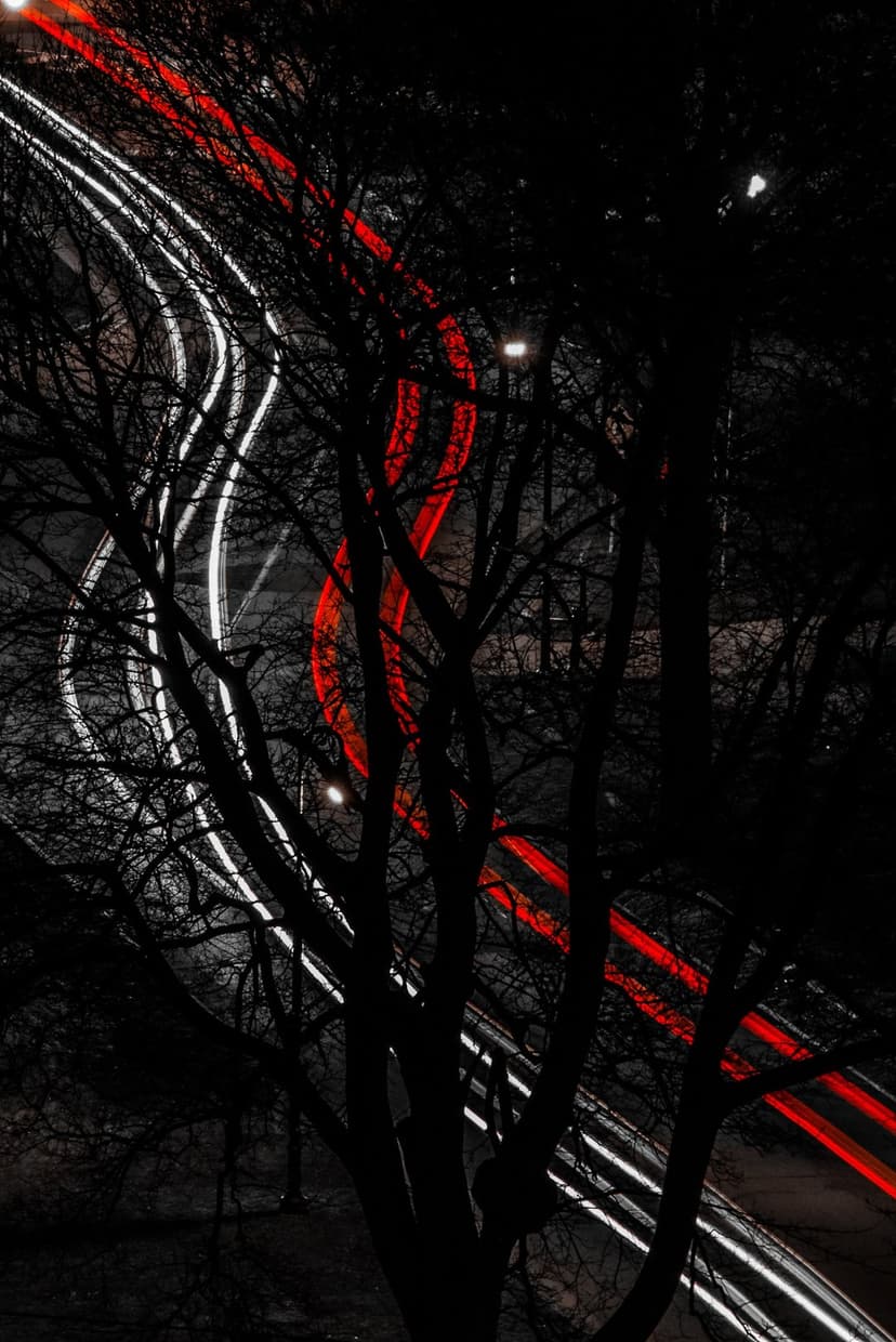 Dark forest tree silhouettes frame glowing red and white horizontal light streaks against a black night sky.