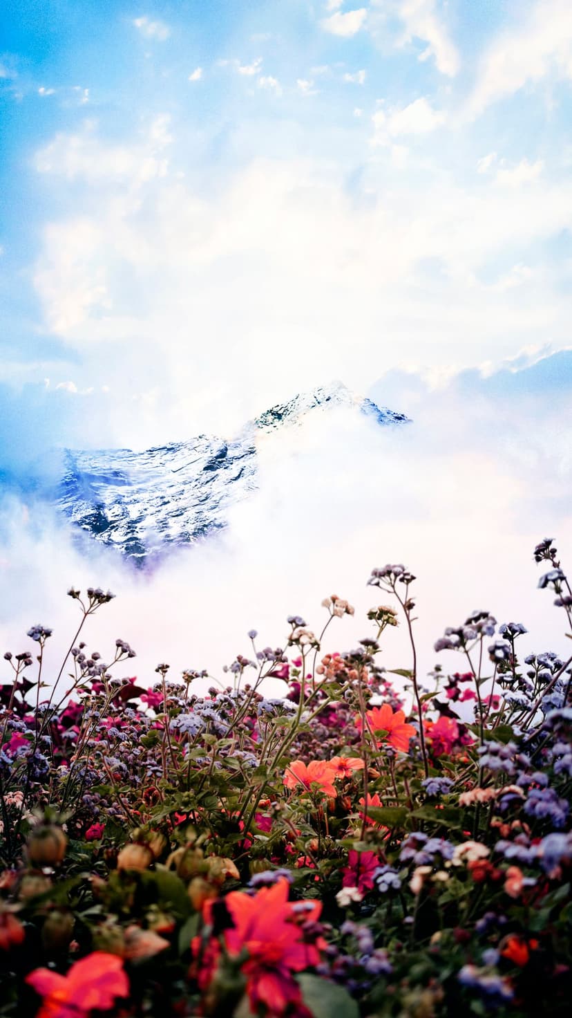 Purple and yellow wildflowers grow in a meadow before a snow-capped mountain peak partially hidden by soft clouds.