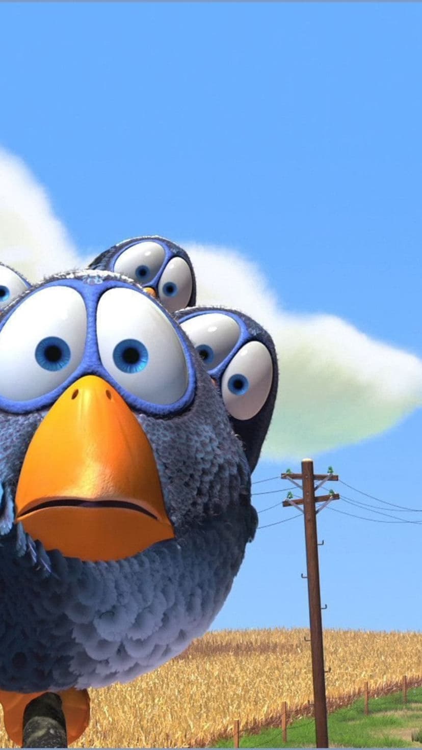 Fuzzy gray birds with massive blue eyes huddle in a golden field under a bright blue sky with a wooden pole.