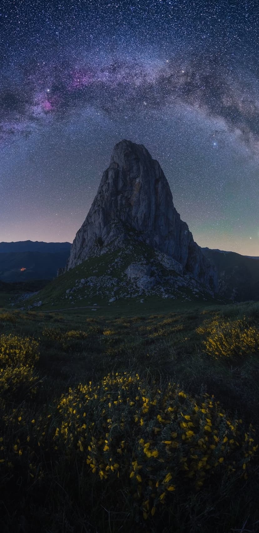 Rugged mountain summit below the starry Milky Way galaxy with small yellow shrubs scattered in the foreground.