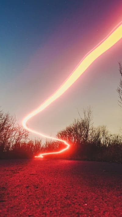 Forest Trail - Crimson Glow