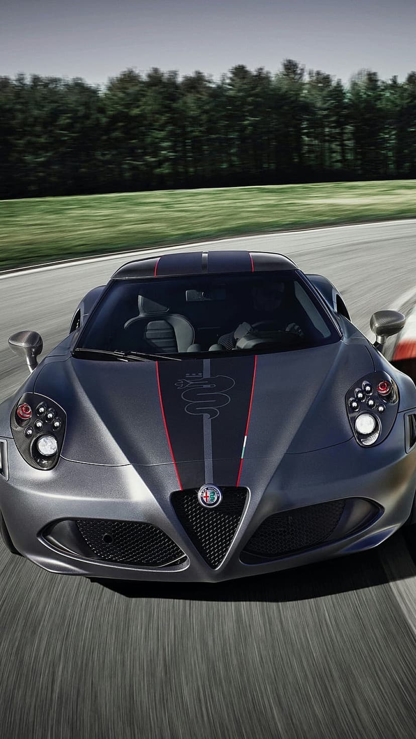 Alfa Romeo 4C racing car with motion blur on a track surrounded by green trees under a cloudy overcast sky.