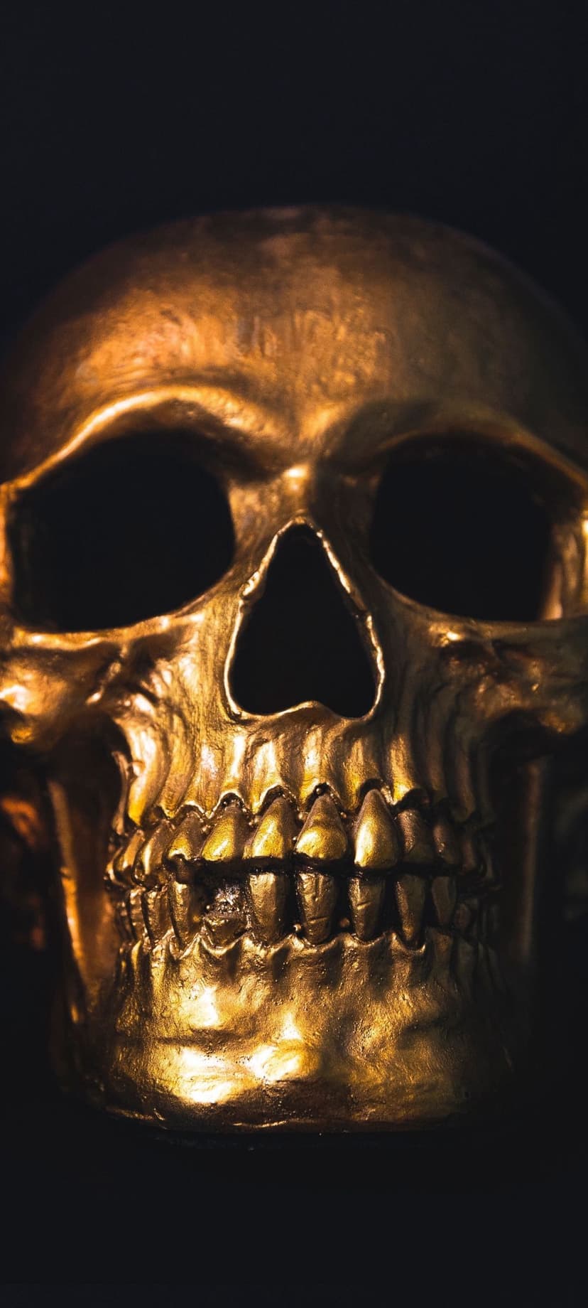Polished gold human skull with reflective surfaces and deep shadows against a solid black background.