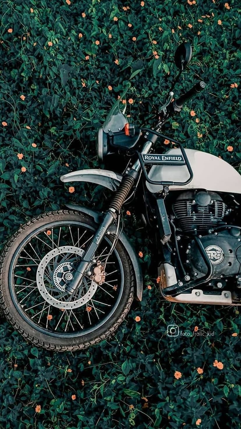 Royal Enfield Himalayan motorcycle wheel and engine nestled among dark green leaves and small orange flowers.
