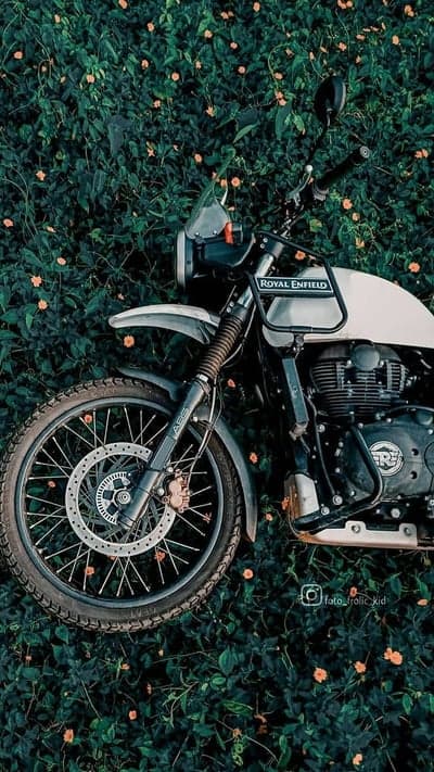 Royal Enfield Himalayan motorcycle amidst lush greenery and flowers