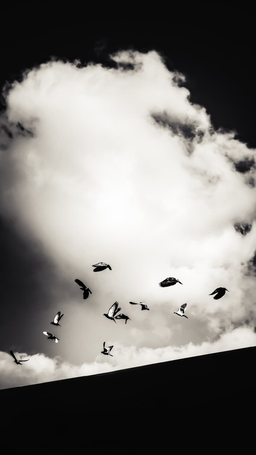 Pigeons soar across a sky filled with dramatic clouds in a high-contrast black and white vertical composition.