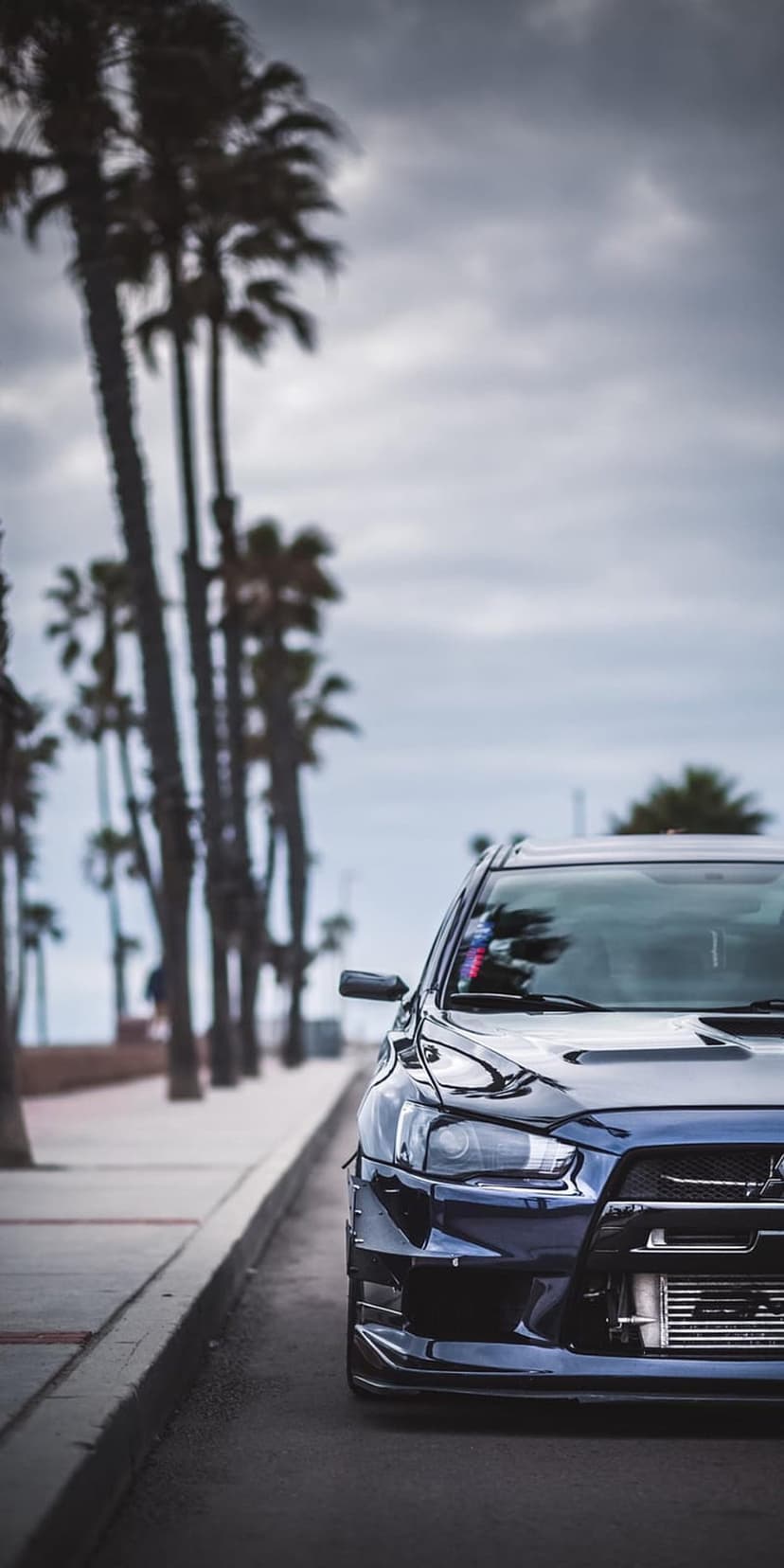 Dark blue sports car with an aggressive bumper on a coastal road lined with tall palm trees under gray clouds.