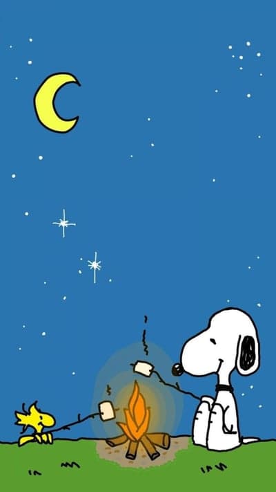 Snoopy and Woodstock roast marshmallows under the starry night sky
