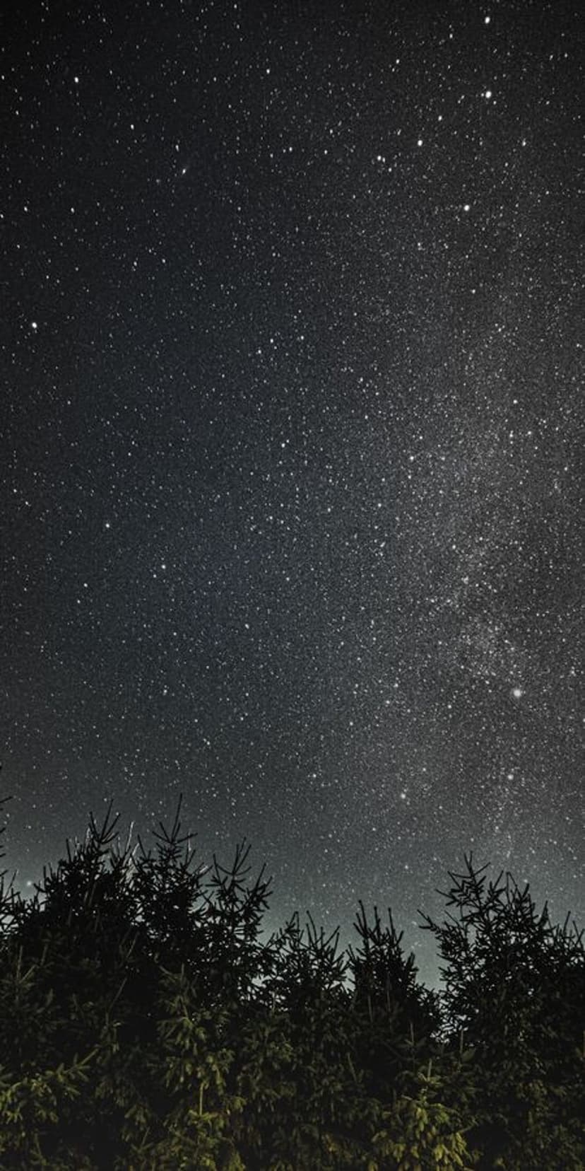 Glittering stars and distant nebulae fill the night sky above a dark, silhouetted evergreen forest ridge.