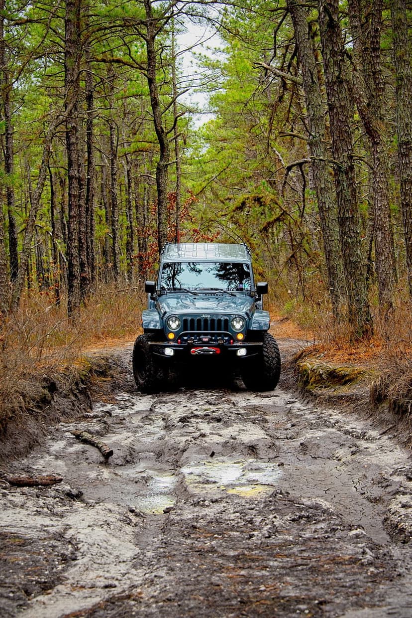 Dark green Jeep Wrangler with large tires drives through thick brown mud in a sunlit pine tree forest.
