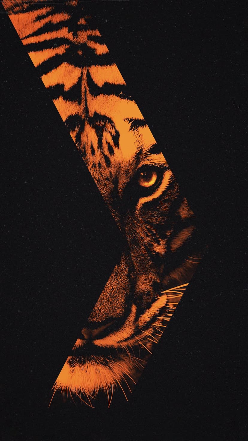 Tiger face with a piercing eye and orange stripes set within a geometric shape on a black textured background.